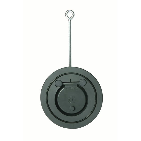 Swing-Check Valve (inch)